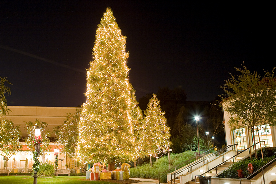 Christmas Tree Lighting