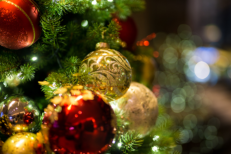 Christmas Tree Lighting