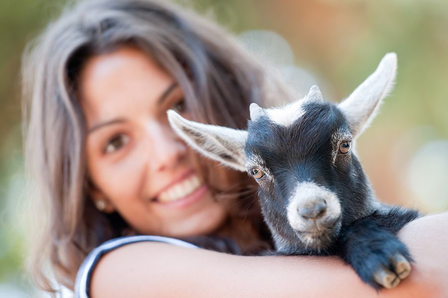 Goat Yoga with YoGoat LA